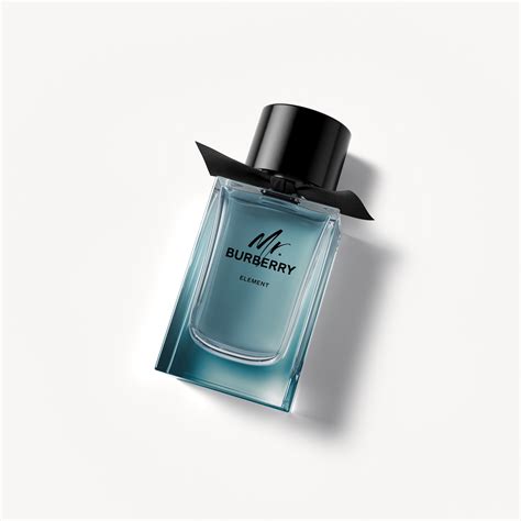 burberry element price|mr Burberry eau de toilette.